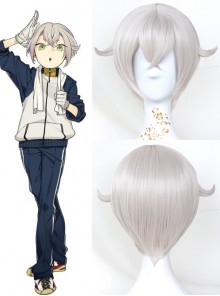 Touken Ranbu Hotarumaru Gray Cosplay Wig